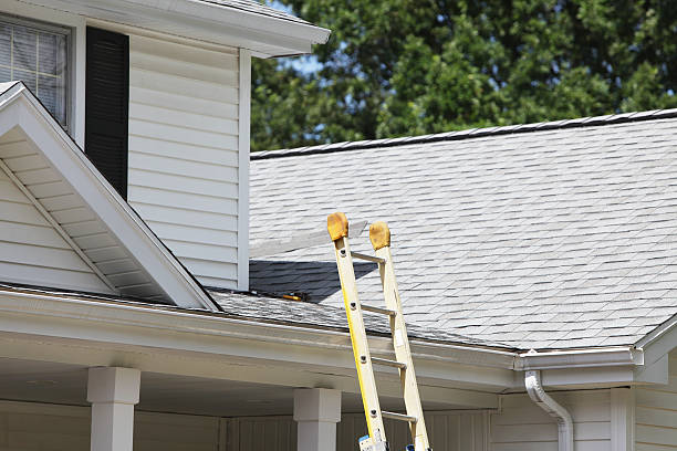 Best Demolition Debris Removal  in North Webster, IN